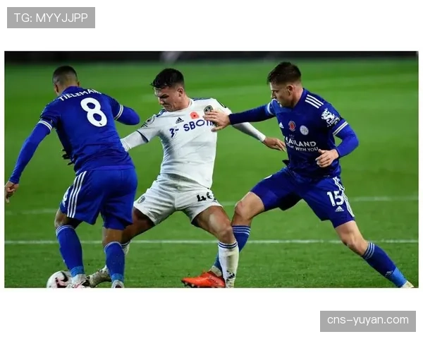 雷恩后防核心雅凯与布德拉尔双双受伤，防线遭遇重创